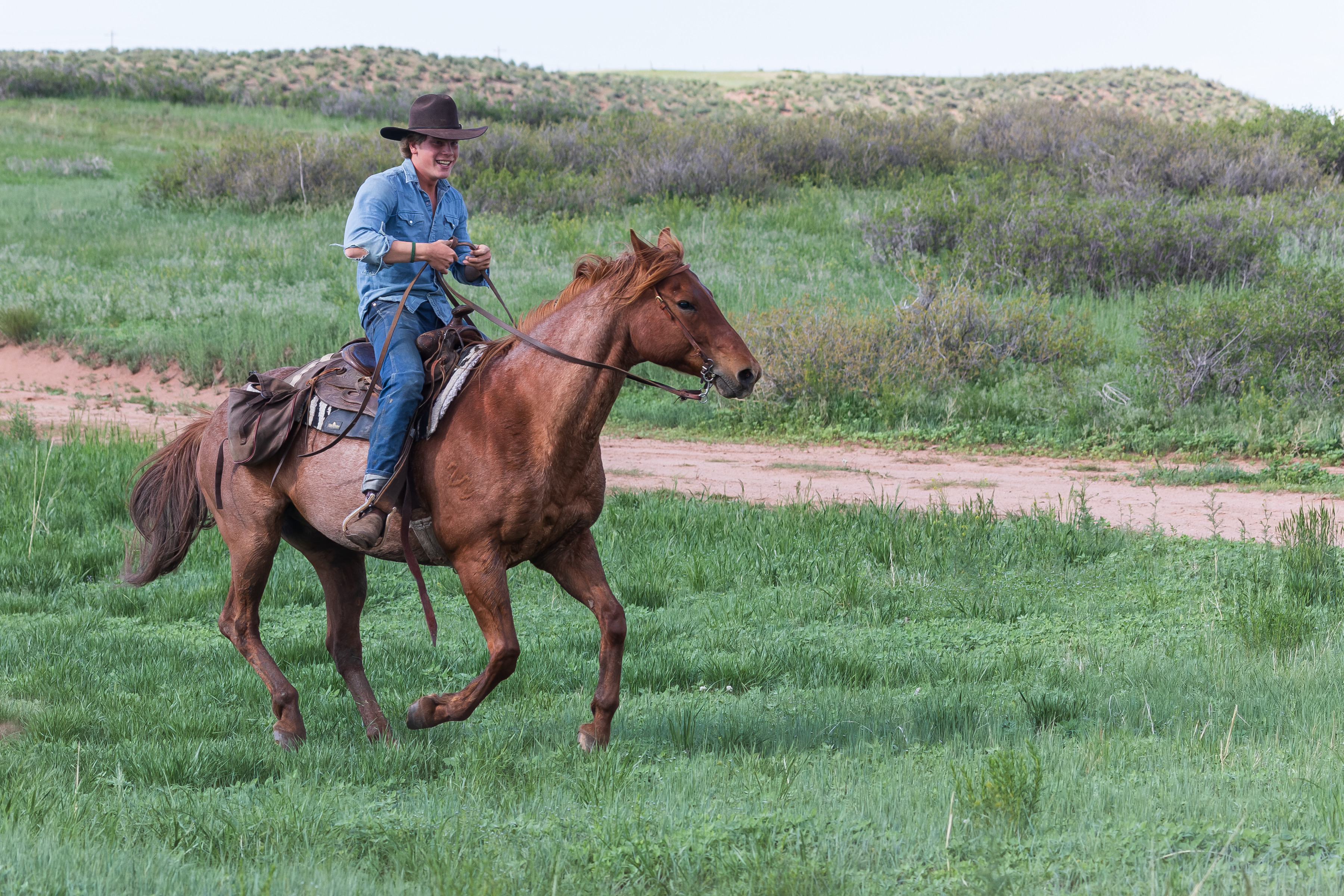 Samuel cantering across open land