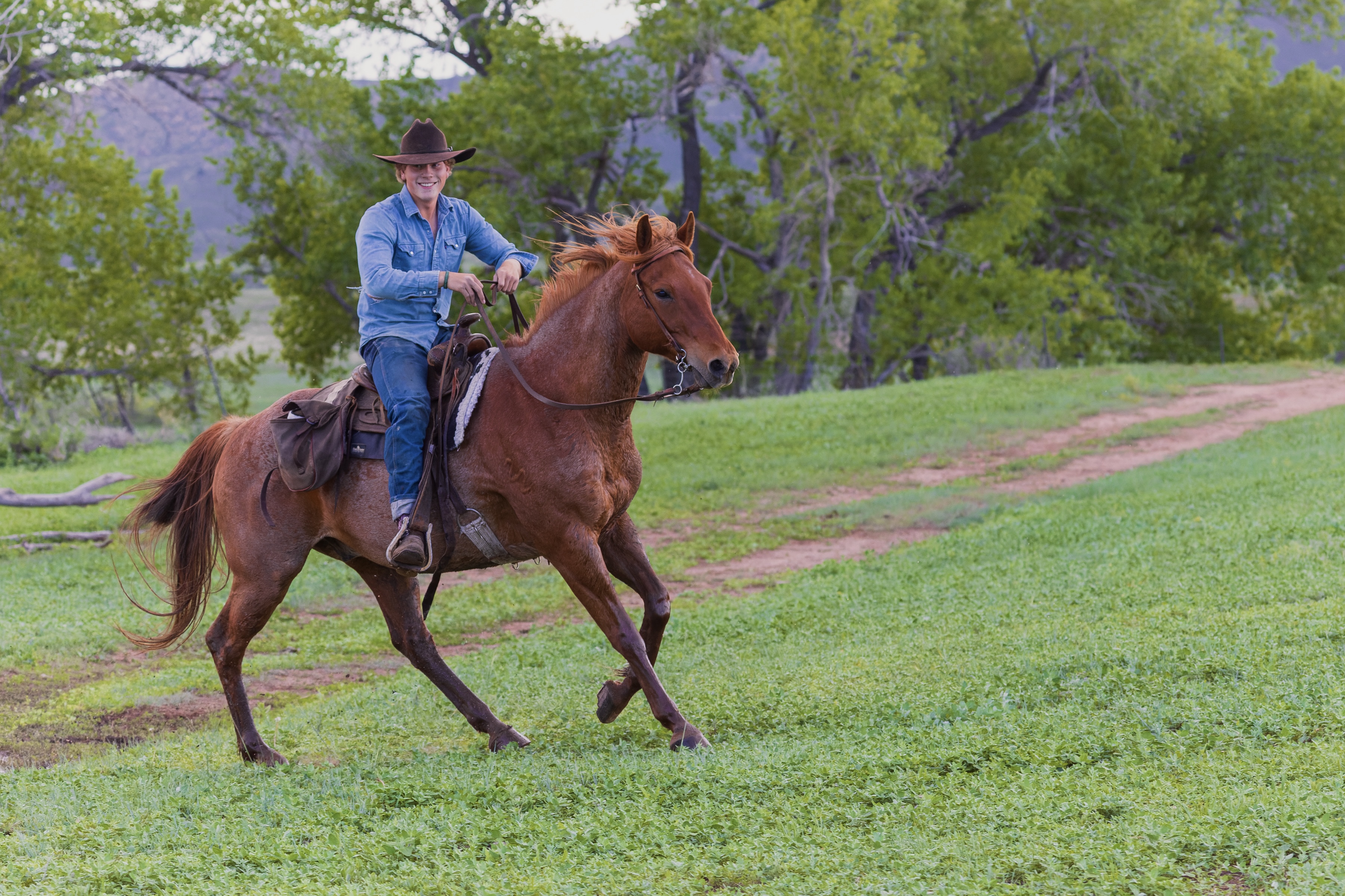 Samuel galloping through the fields